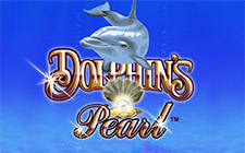 Dolphins pearl