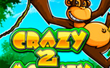 Crazy Monkey 2